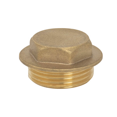 Blanking Plug - Brass